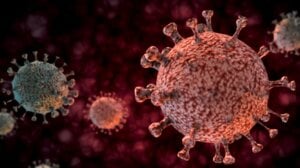 profimedia 0508368478 e1722667703331 300x168 1